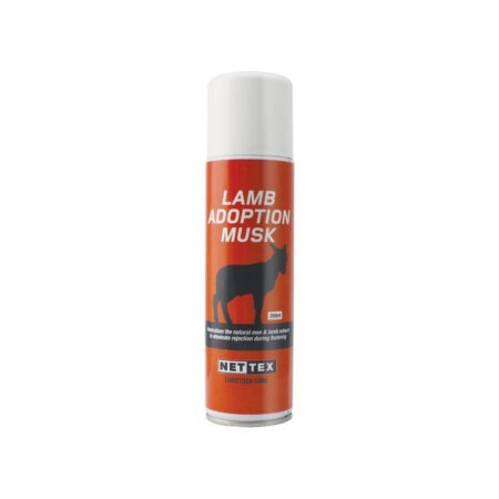 Lamb Adoption Musk