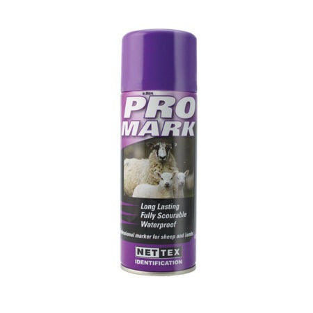 Promark Purple