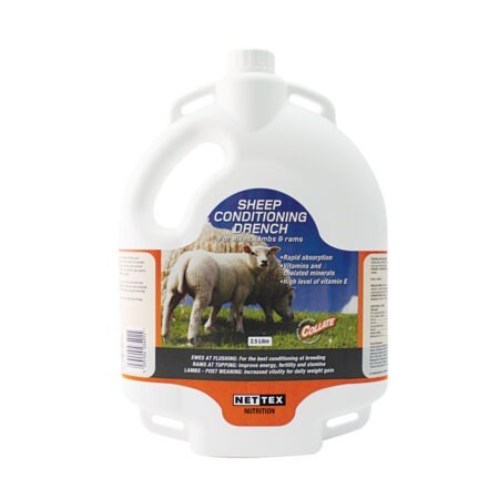 Sheep Conditioning Drench