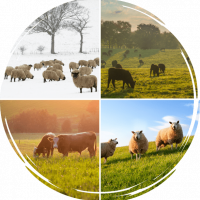 Nettex Agri Images_Four seasons